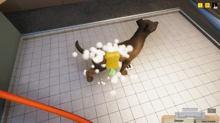 Animal Shelter screenshot