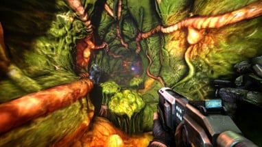 NS2: Combat Image