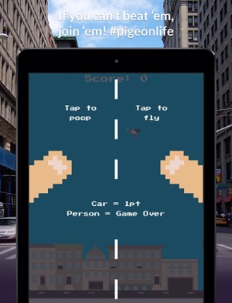 Pooping Pigeons screenshot