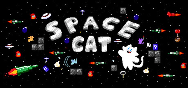 Space Cat Image