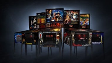 The Pinball Arcade Image