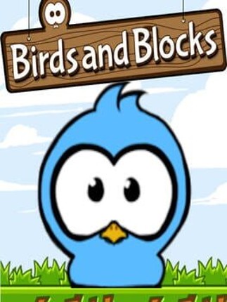 Birds and Blocks Image