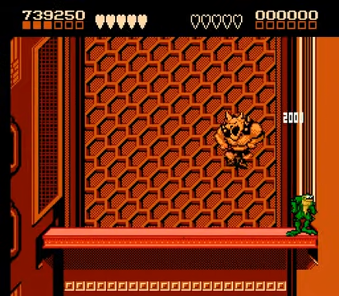 Battletoads: Legacy Cartridge Collection Image