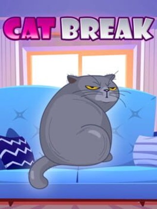 Cat Break Image
