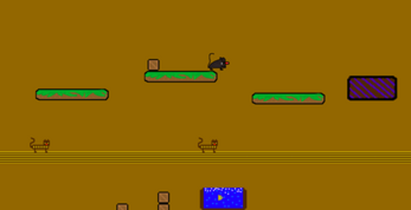 Mouse Run Image