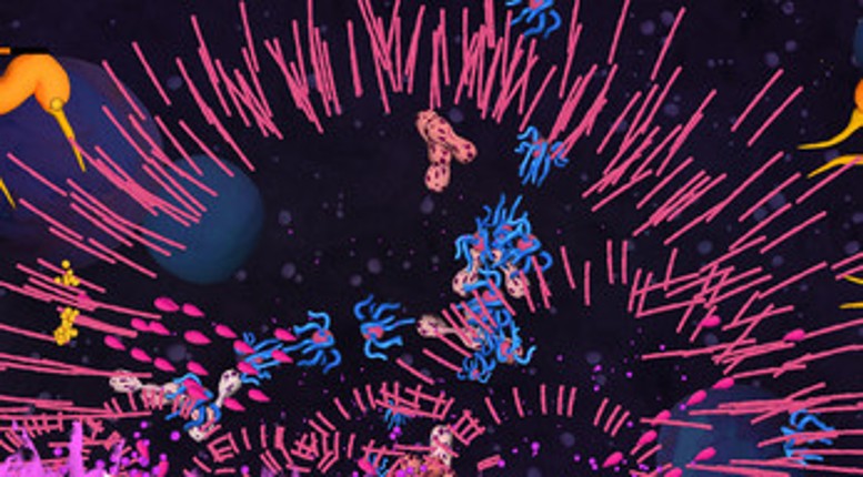 Ovus Nova Image