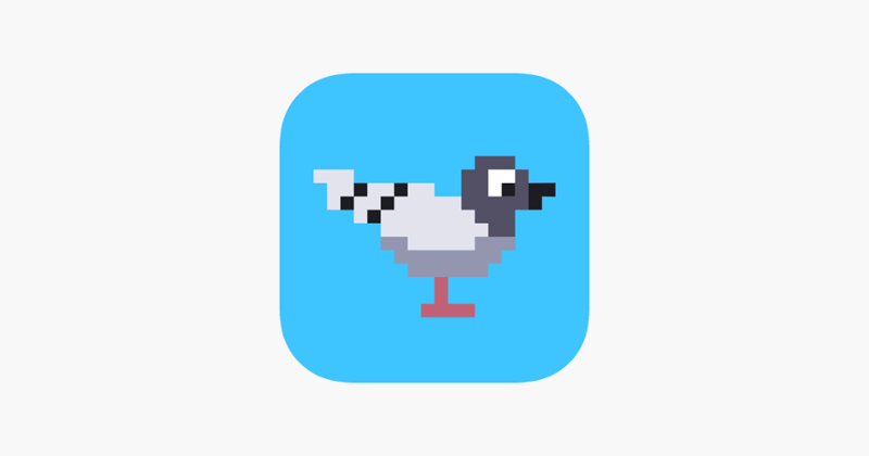 Pooping Pigeons Game Cover