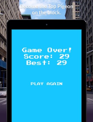 Pooping Pigeons screenshot