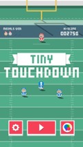 Tiny Touchdown Image