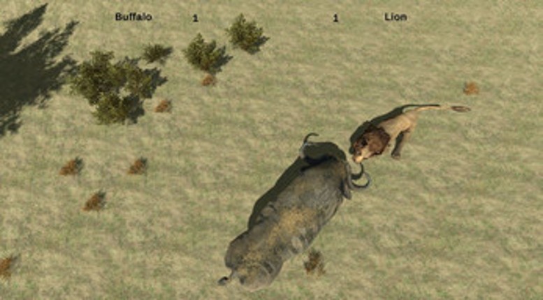 Animal Battle Simulator Image