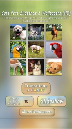 Cute Pets Slideshow & Wallpapers (HD) screenshot