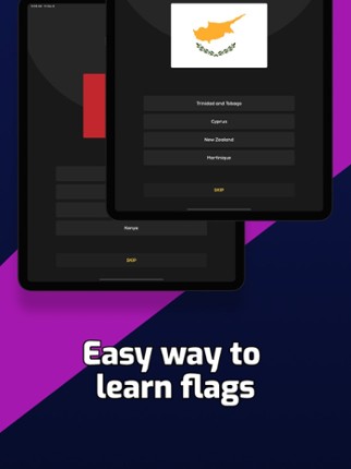 Flags Quiz - Learn World Flags screenshot
