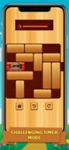 Unlock me! unblock Puzzle game Image