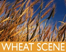 Wheat Scene Image