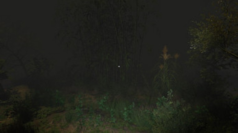 Đồng Cỏ Lau (Chính Thức) Image