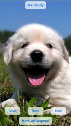 Cute Pets Slideshow & Wallpapers (HD) screenshot