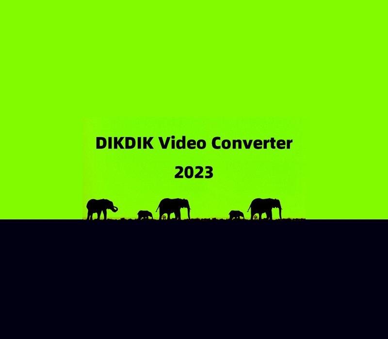 Games like DIKDIK Video Converter