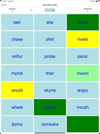 PickAPair Icelandic - English screenshot
