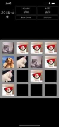 2048+# screenshot