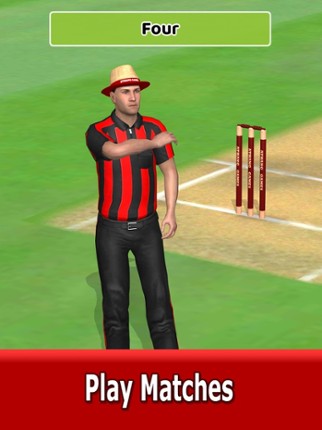 Cricket World Domination screenshot