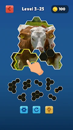 Hexa Jigsaw Collection HD screenshot