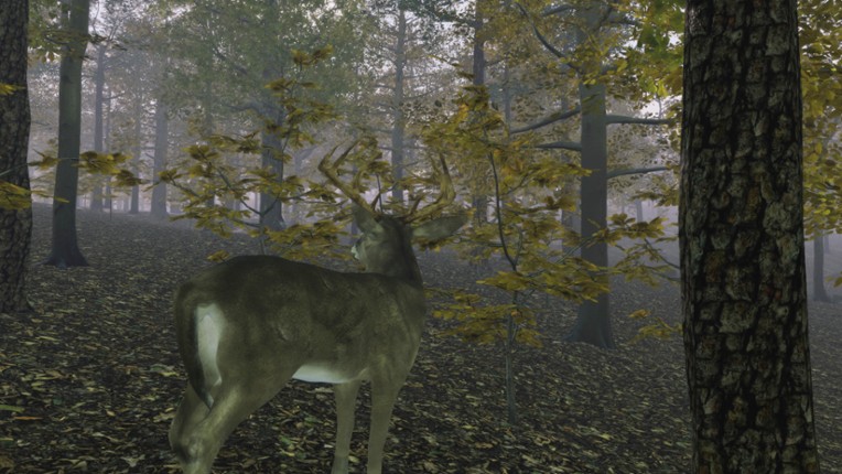 Pro Deer Hunting: Out West Image