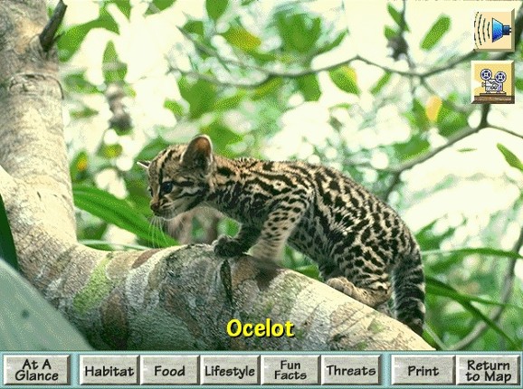 Discovering Endangered Wildlife screenshot