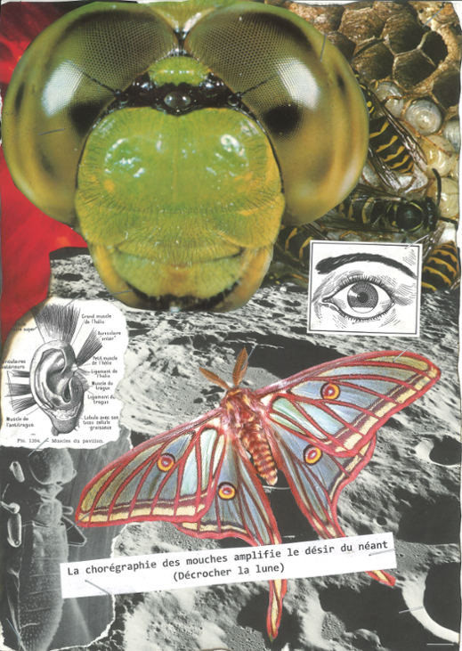 Games like The flies' choreography amplifies my longing for the void. (Drawing down the moon)