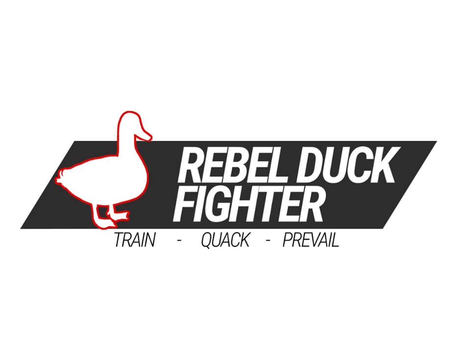 Games like REBEL DUCK: FIGHTERS