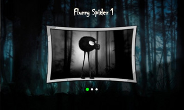 Stilt Walker–Long Legs Spider Image