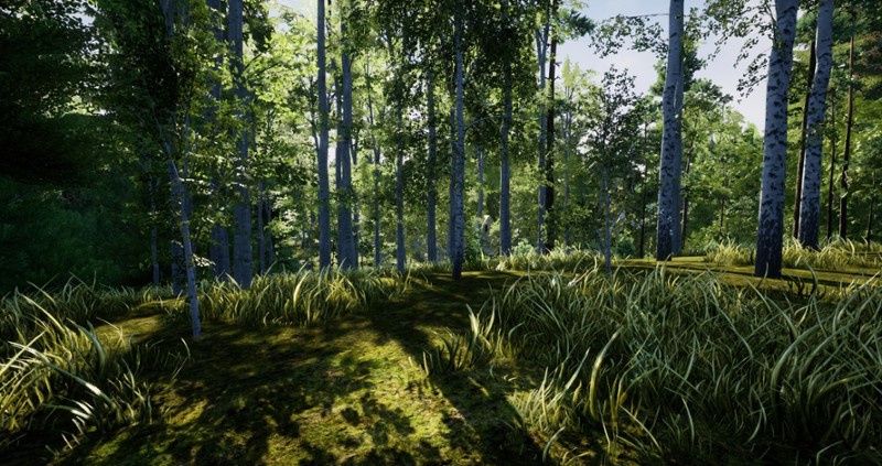 Nature Hunter screenshot