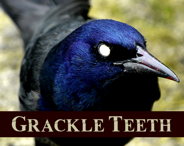 Games like Grackle Teeth