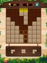 Wood Classic Block Puzzle Game Image