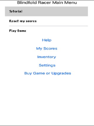 Blindfold Racer screenshot