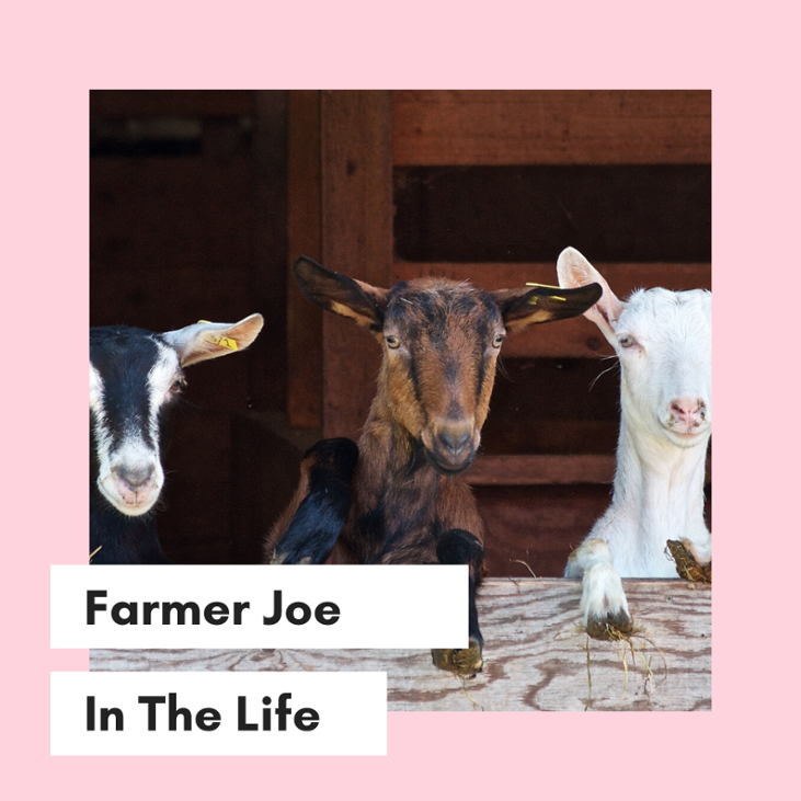 Games like Farmer Joe