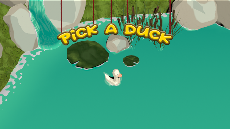 Pick a Duck Image