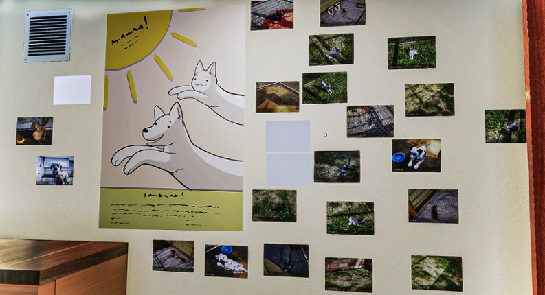 Animal Shelter screenshot