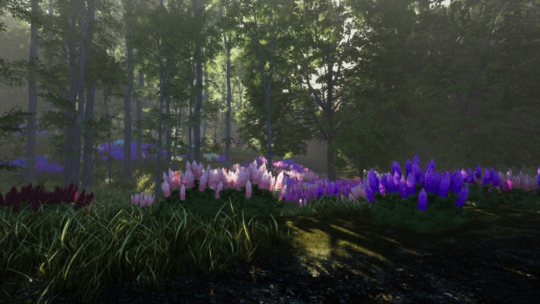 Nature Hunter screenshot