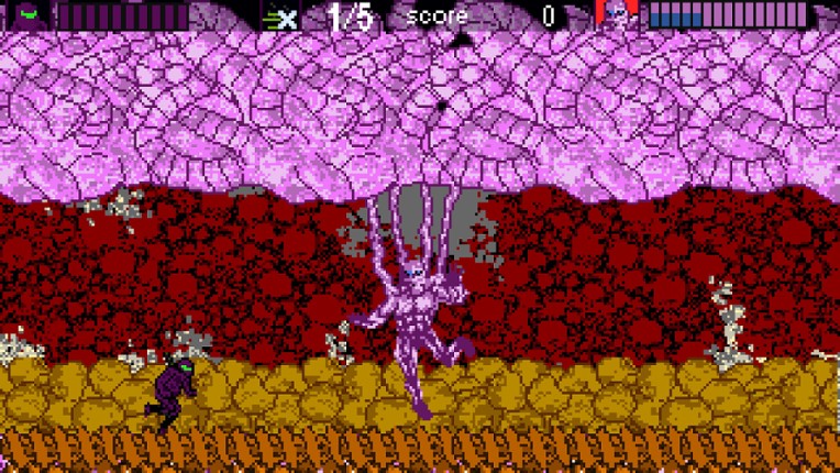 Ninja Roquinexu screenshot