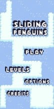 Sliding Penguins Image