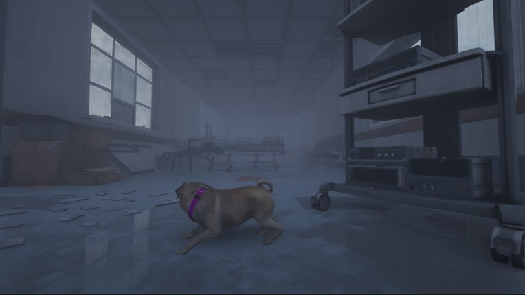 The Good Dog: Chasing Shadows screenshot