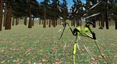 YABAI MANTIS VR Image