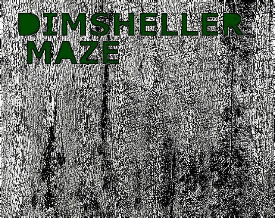 Dimsheller Maze Game Cover