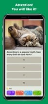 QuizzLand. Quiz &amp; Trivia game Image