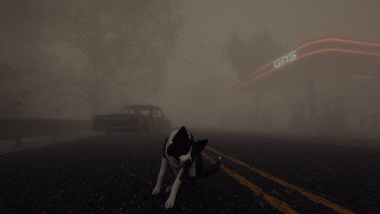 The Good Dog: Chasing Shadows Image