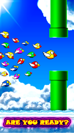 Fun Birds Game - Angry Smash Image