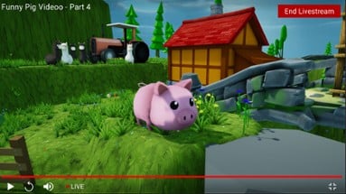 Funny Pig Videos Image