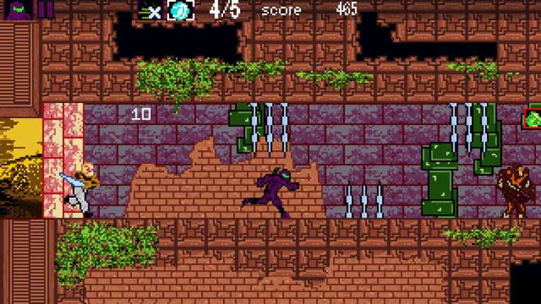 Ninja Roquinexu screenshot