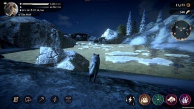 The Wolf Image