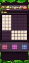 Block Puzzle Level Image